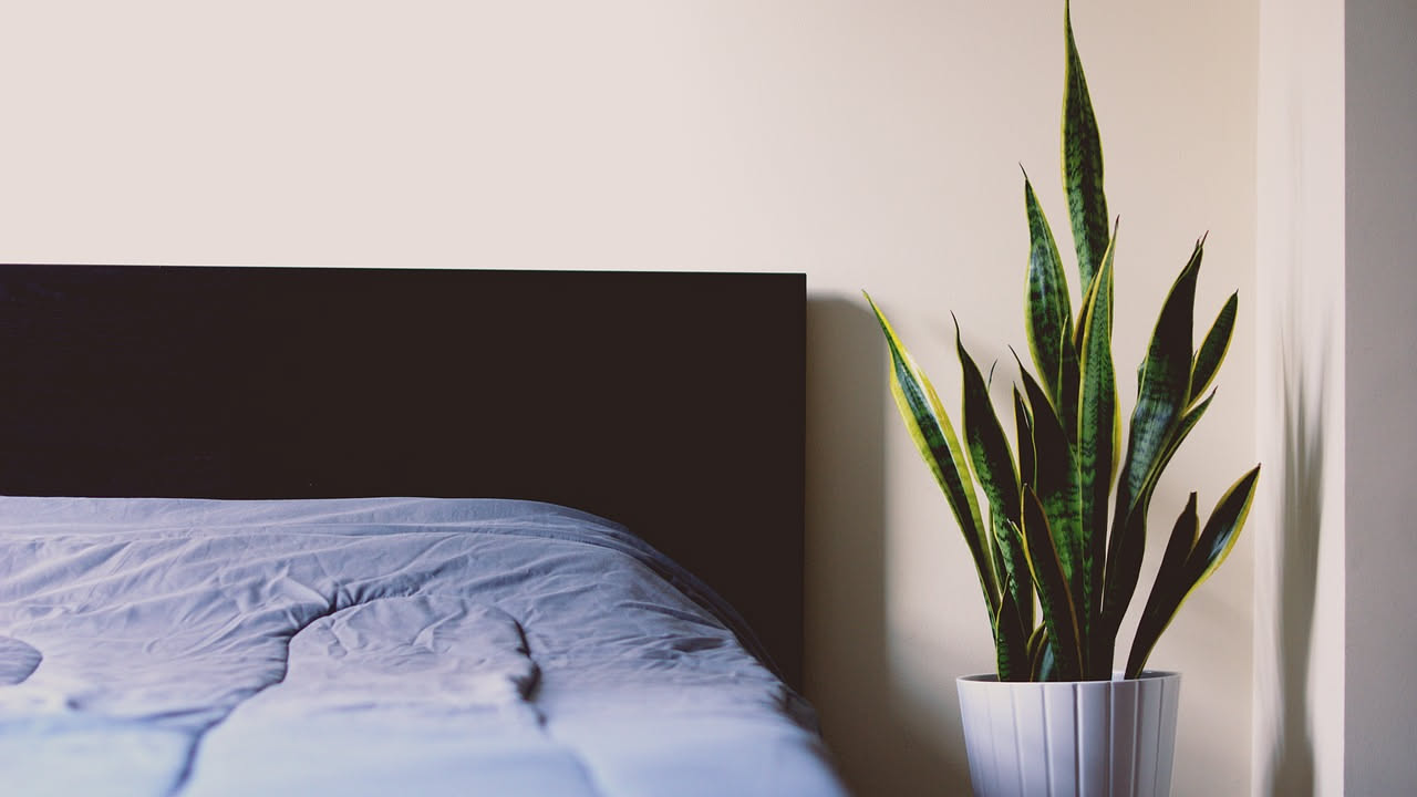 Pothos verde con foglie cuoriformi in vaso bianco su un comodino di legno accanto a una sveglia, con letto sfocato sullo sfondo