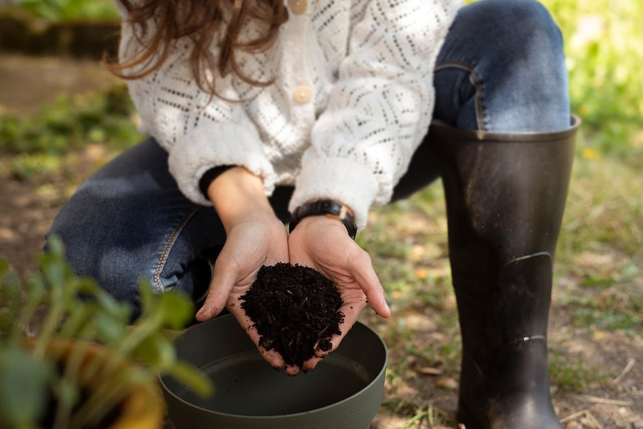 Compost in appartamento dagli scarti di cucina: come evitare i cattivi odori