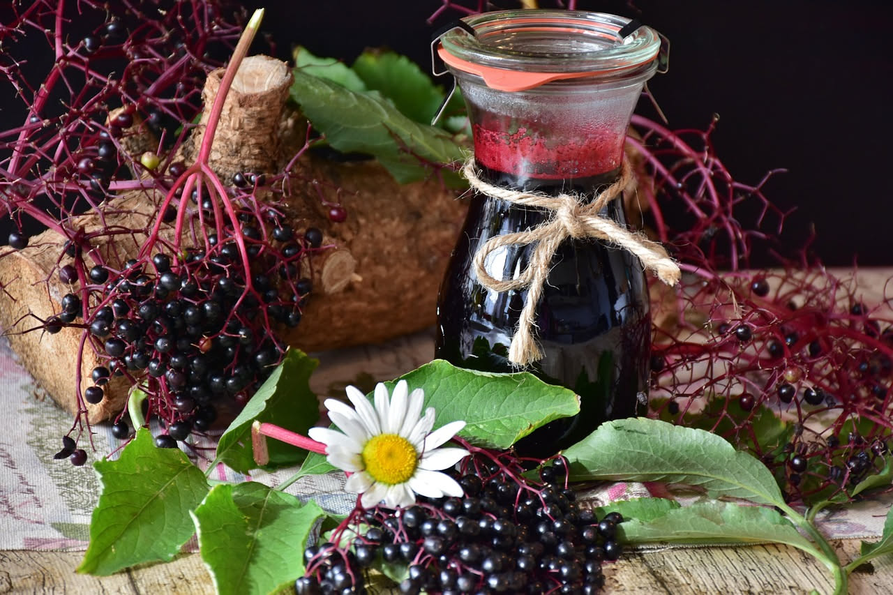 Sciroppo di sambuco fatto in casa: come prepararlo per la gola