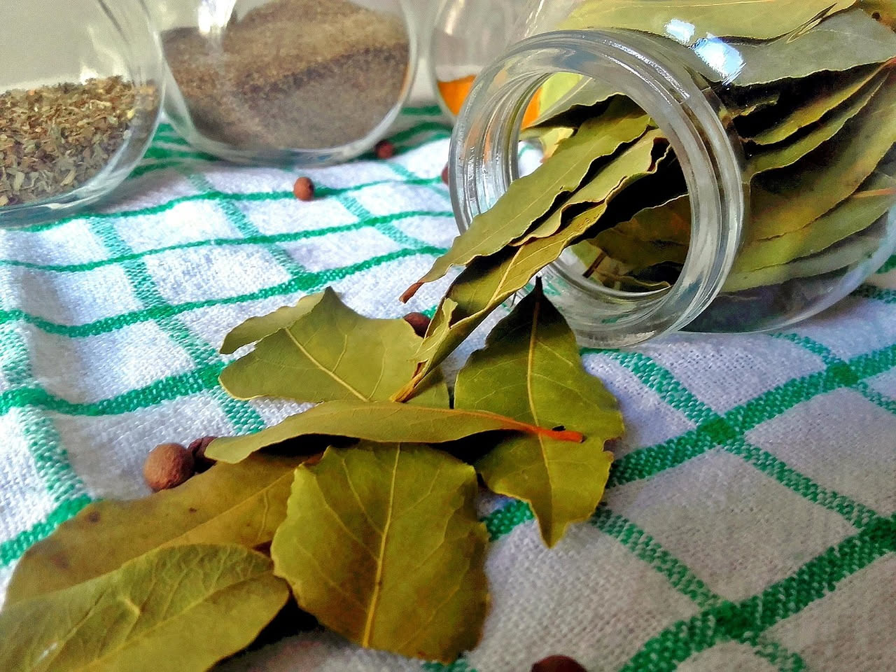 Foglie di alloro avanzate: riutilizzarle in cucina e nella lotta alle tarme